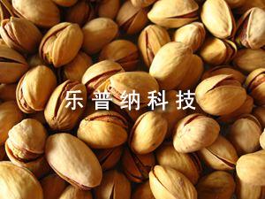 开心果